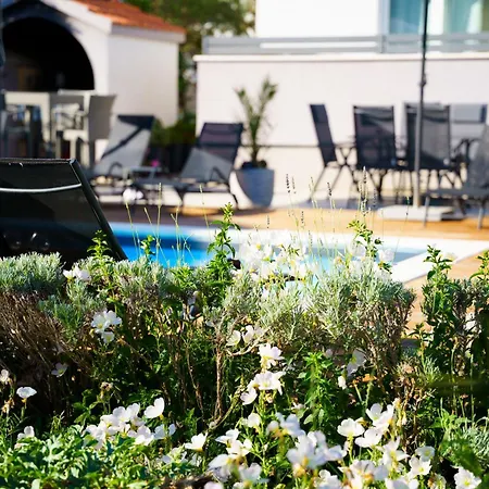 Petar's Dream Apartman Privlaka