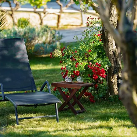 Petar's Dream Apartman *