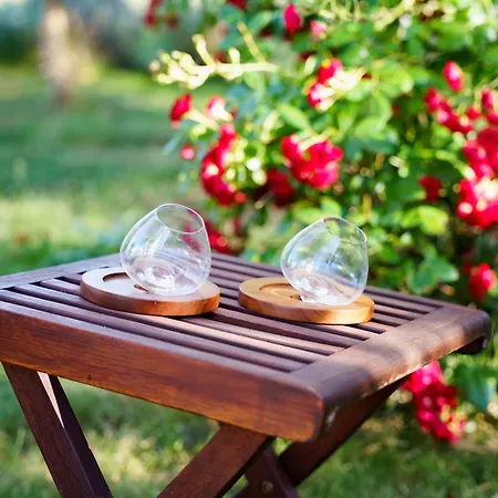 Petar's Dream Privlaka (Zadar)