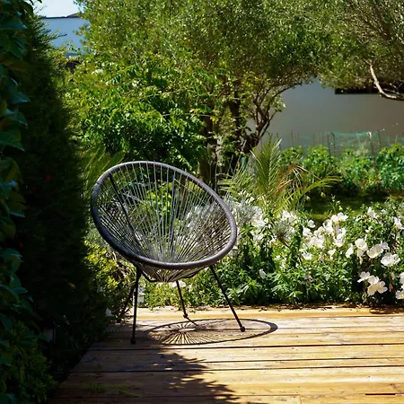 Petar's Dream * Privlaka