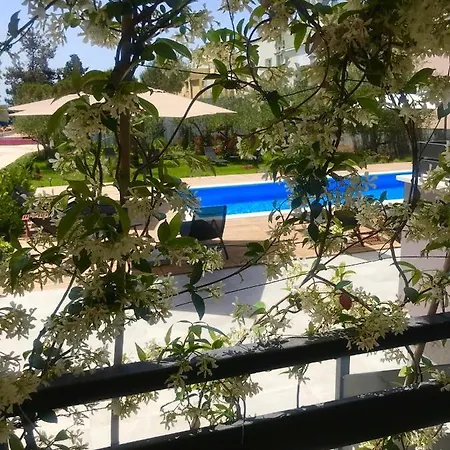 Petar's Dream * Privlaka