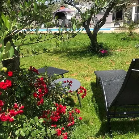 Petar's Dream Privlaka (Zadar)