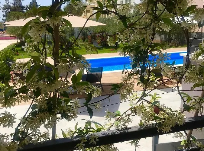 Petar's Dream * Privlaka (Zadar)